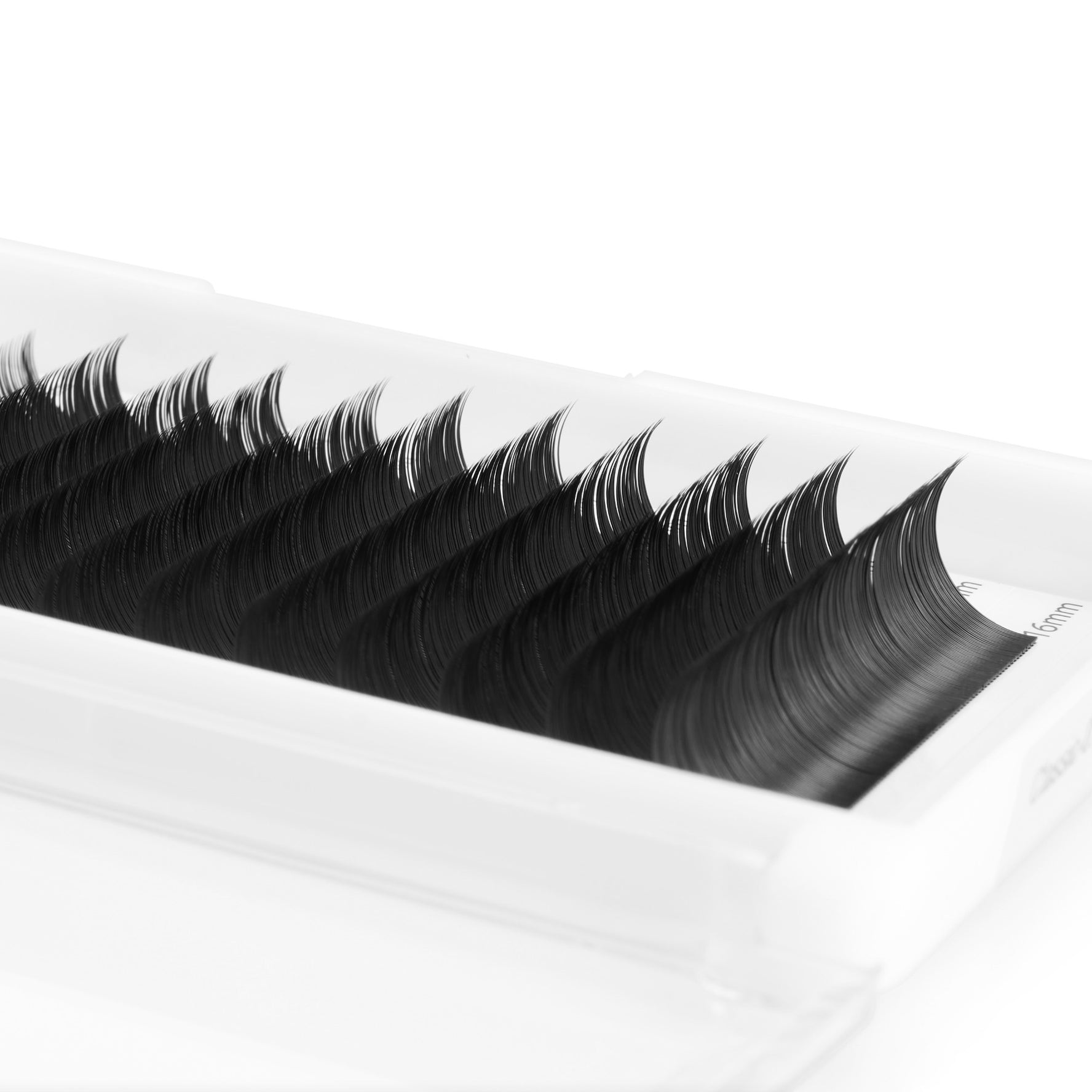 Essential Classic Lashes